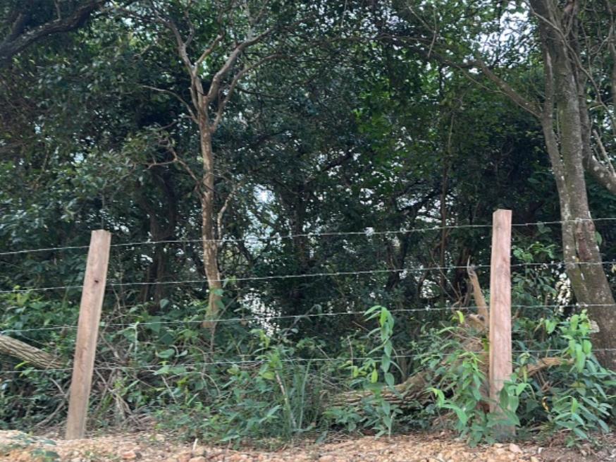 Foto ilustrativa 4 - ÁREA DE 41.043m² a 1km da Rod. Raposo Tavares – Alumínio/SP